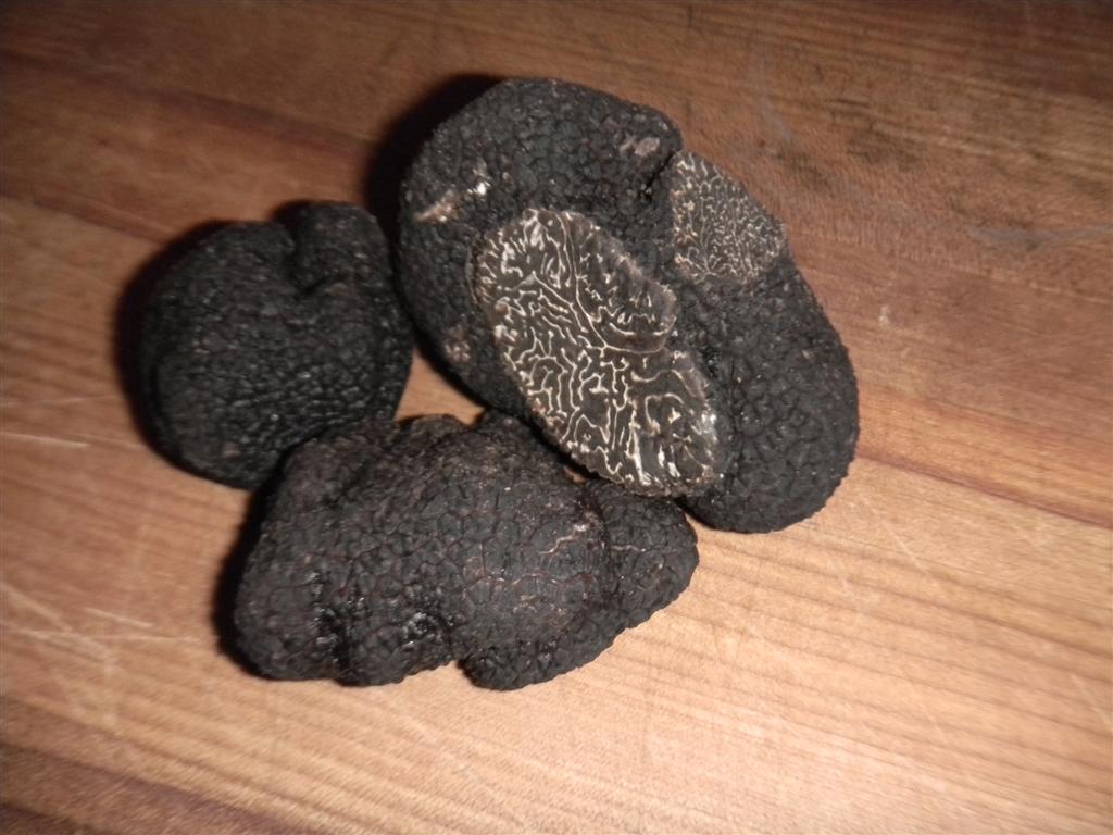 Truffles Gone Wild! — Eating Las VegasEating Las Vegas