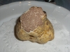 Tuber magnatum