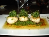 Scallops