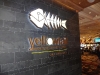 Yellowtail